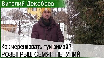 Дачные сезоны с Виталием Декабревым (27 января 2018)