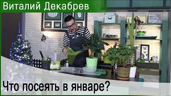 Дачные сезоны с Виталием Декабревым (13 января 2018)