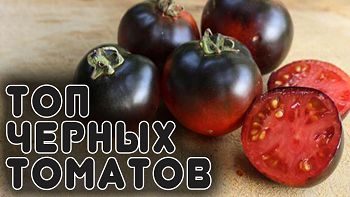 Лучшая 20-ка черных томатов и перцев